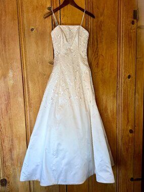 Tomasina Wedding Gown Strapless Embroidered Elegance